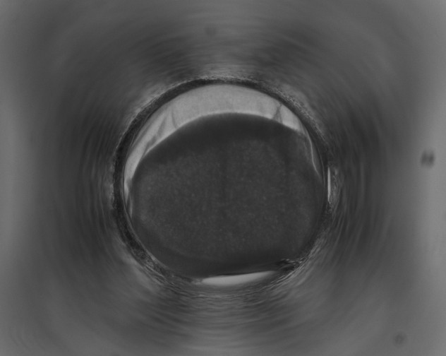 X0000097000204200803071125