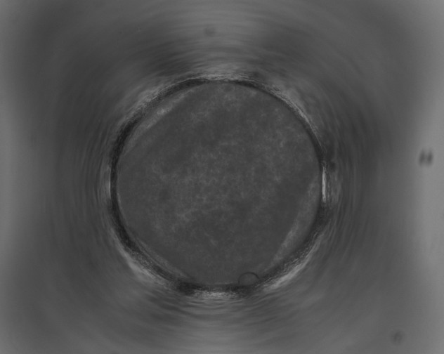 X0000097000205200803071125