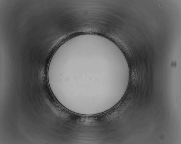 X0000097000208200803071125