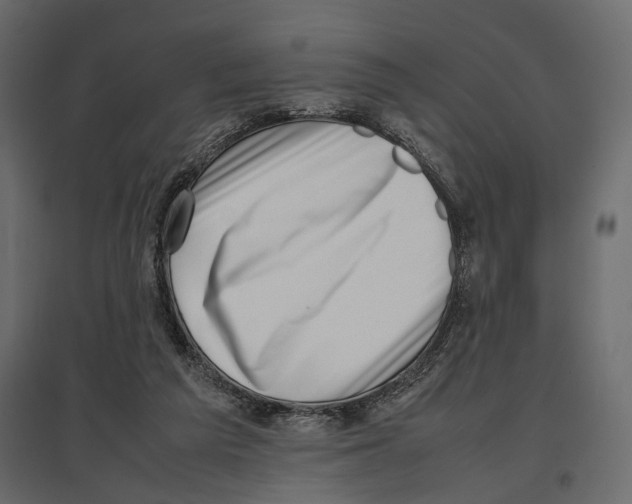 X0000097000209200803071125