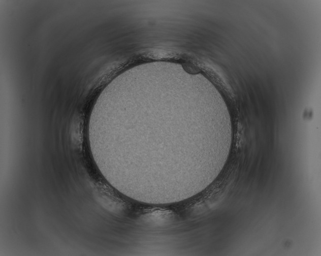 X0000097000210200803071125