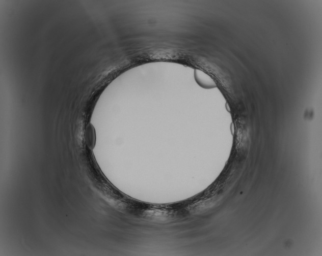 X0000097000211200803071125