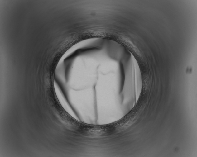 X0000097000213200803071125