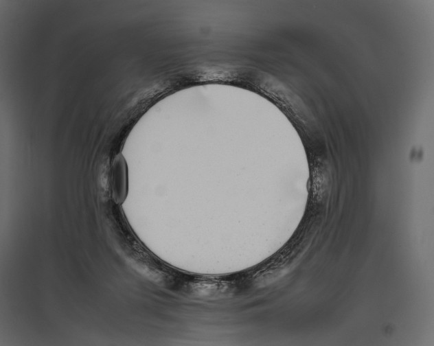 X0000097000215200803071125