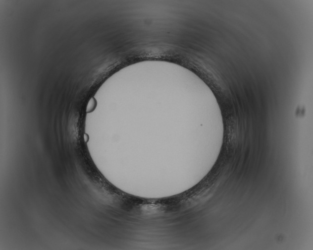 X0000097000216200803071125