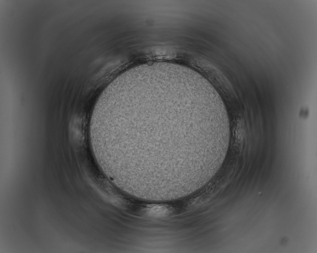 X0000097000218200803071125