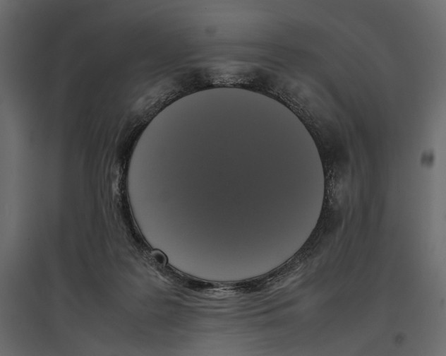X0000097000219200803071125