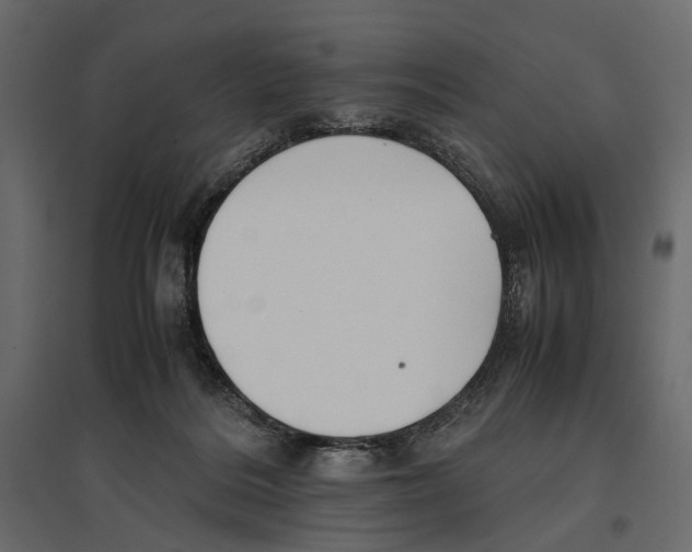 X0000097000220200803071125