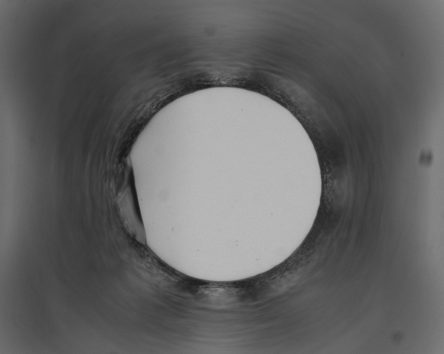 X0000097000221200803071125