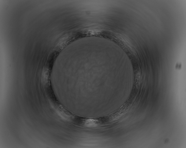 X0000097000222200803071125