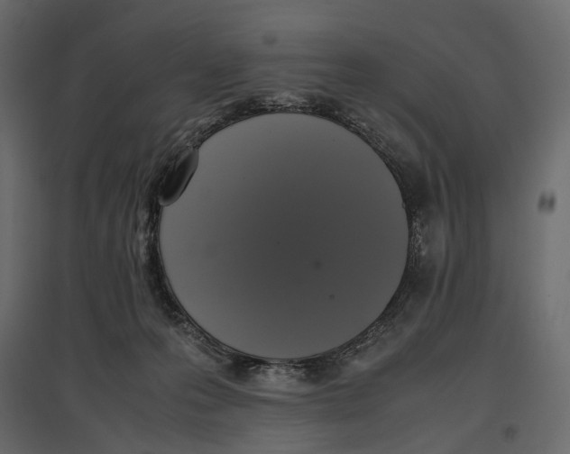 X0000097000223200803071125
