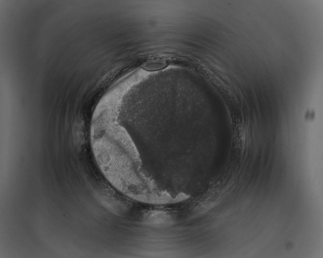 X0000097000224200803071125