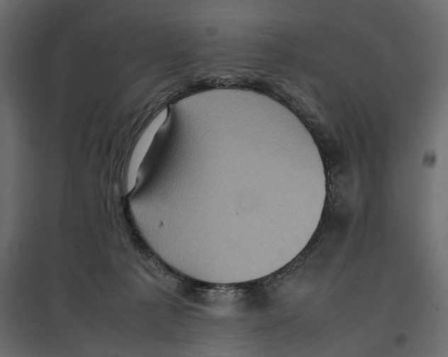 X0000097000225200803071125