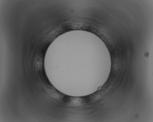 X0000097000226200803071125