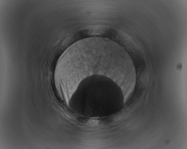 X0000097000227200803071125