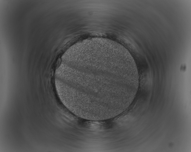 X0000097000229200803071125