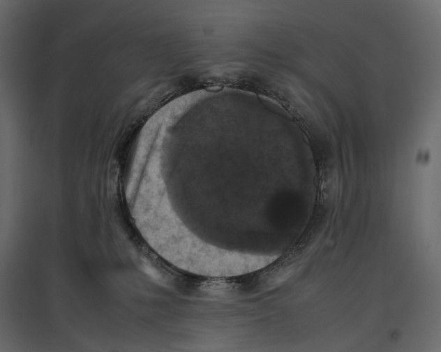 X0000097000231200803071125