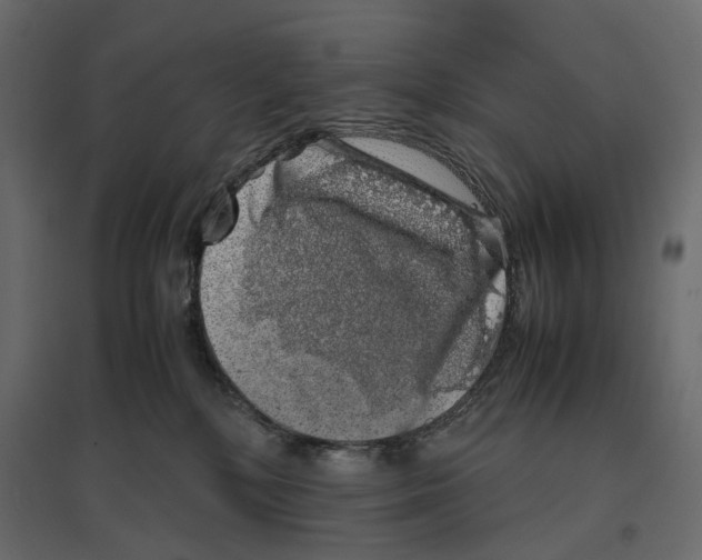 X0000097000232200803071125