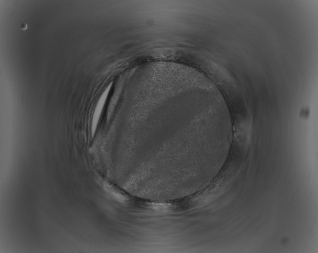 X0000097000233200803071125