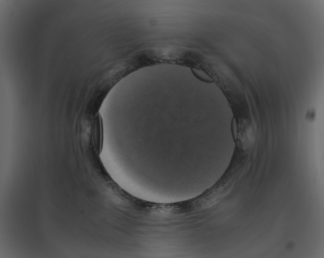 X0000097000235200803071125