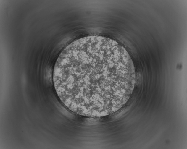 X0000097000238200803071125