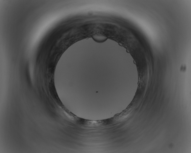X0000097000239200803071125