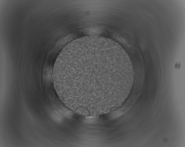 X0000097000240200803071125