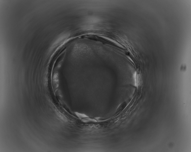X0000097000243200803071124
