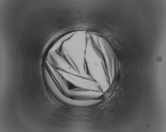 X0000097000244200803071124