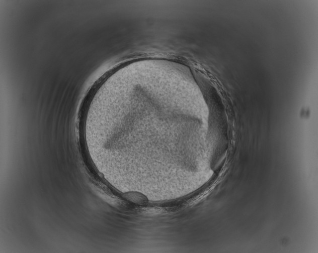 X0000097000246200803071124