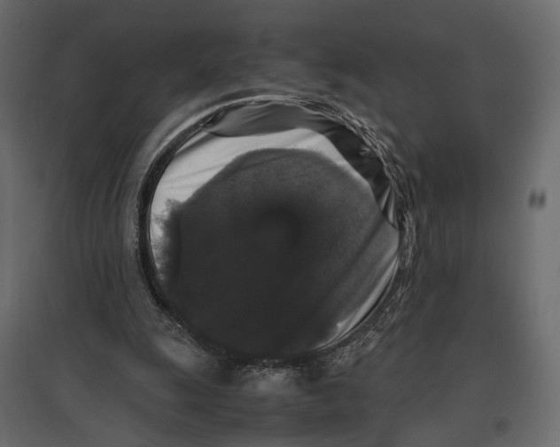 X0000097000247200803071124