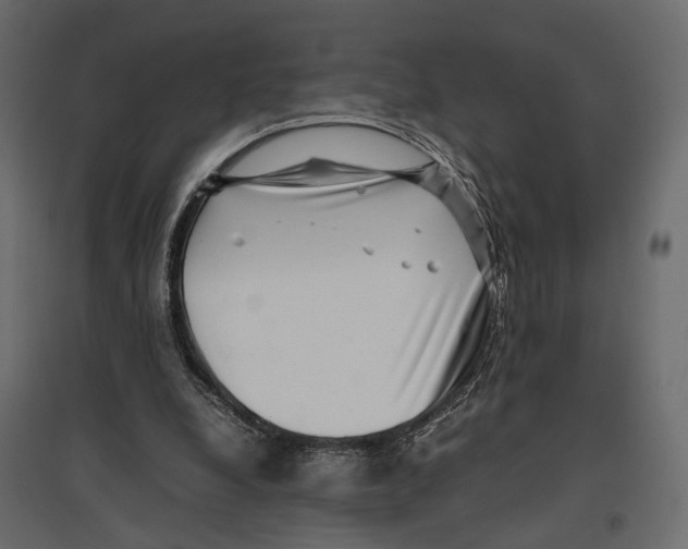 X0000097000248200803071124