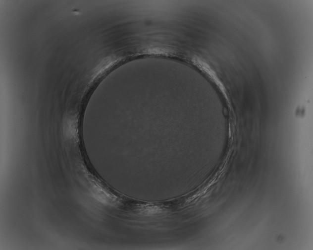 X0000097000249200803071124