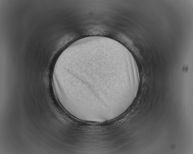 X0000097000250200803071124