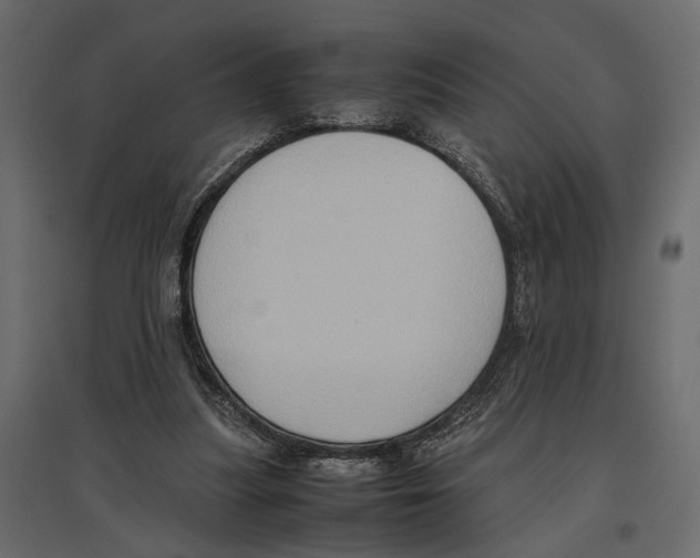 X0000097000251200803071124