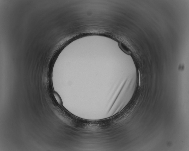 X0000097000252200803071124