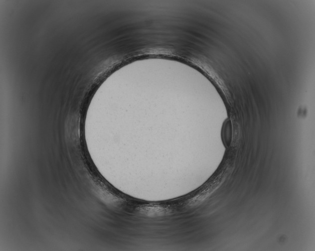X0000097000253200803071124