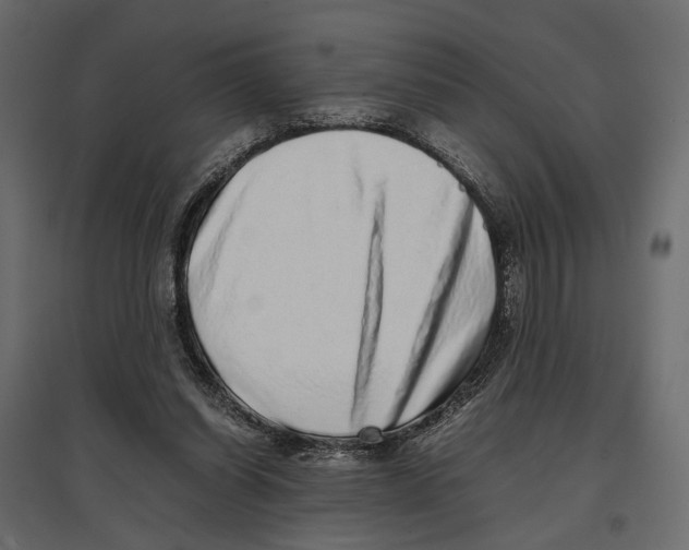 X0000097000254200803071124