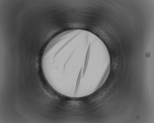 X0000097000255200803071124