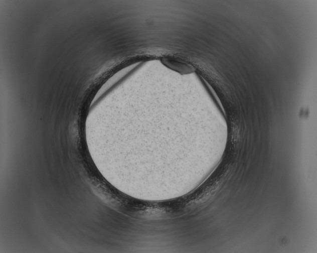 X0000097000256200803071124