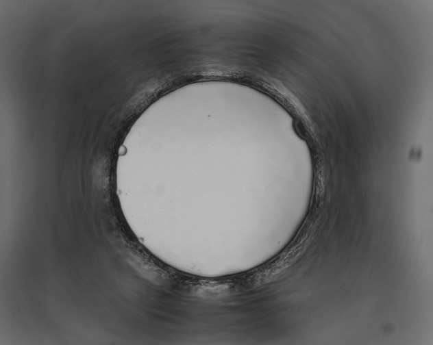 X0000097000257200803071124