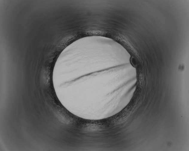 X0000097000259200803071124