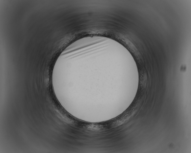 X0000097000261200803071124