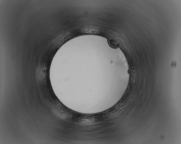 X0000097000263200803071124