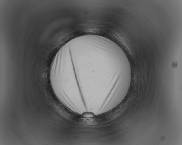 X0000097000265200803071124