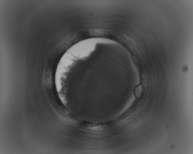 X0000097000267200803071124