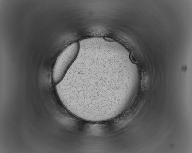 X0000097000268200803071124
