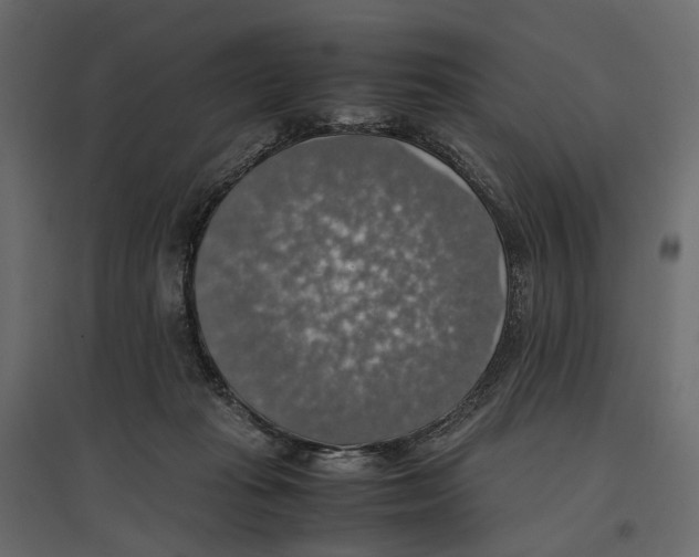 X0000097000269200803071124