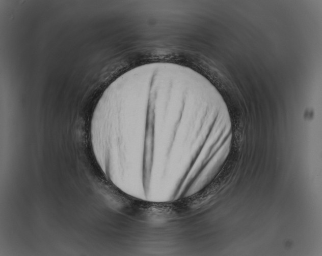 X0000097000270200803071124