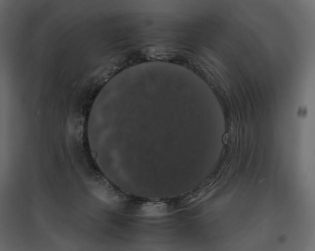 X0000097000271200803071124